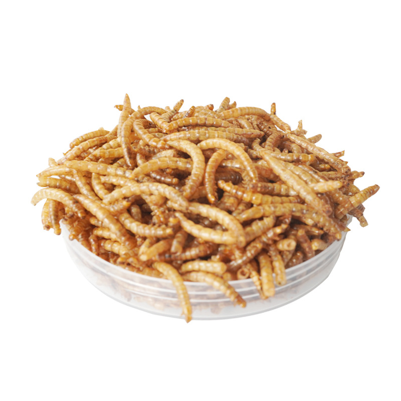 Food Snacks High In Protein - 고단백 간식 햄스터 사료 새 고슴도치