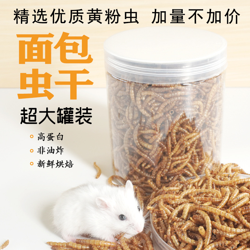 고단백 간식 햄스터 사료 새 고슴도치 기니피그 아로와나 - Food Snacks High In Protein 리뷰 및 가격