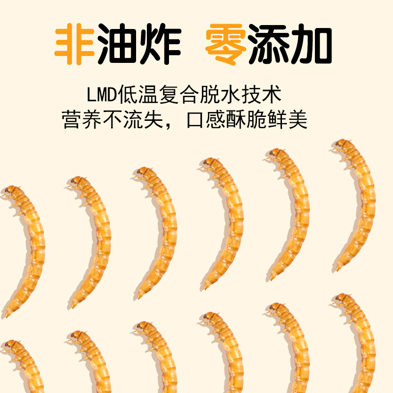고단백 간식 햄스터 사료 새 고슴도치 기니피그 아로와나 - Food Snacks High In Protein 리뷰 및 가격